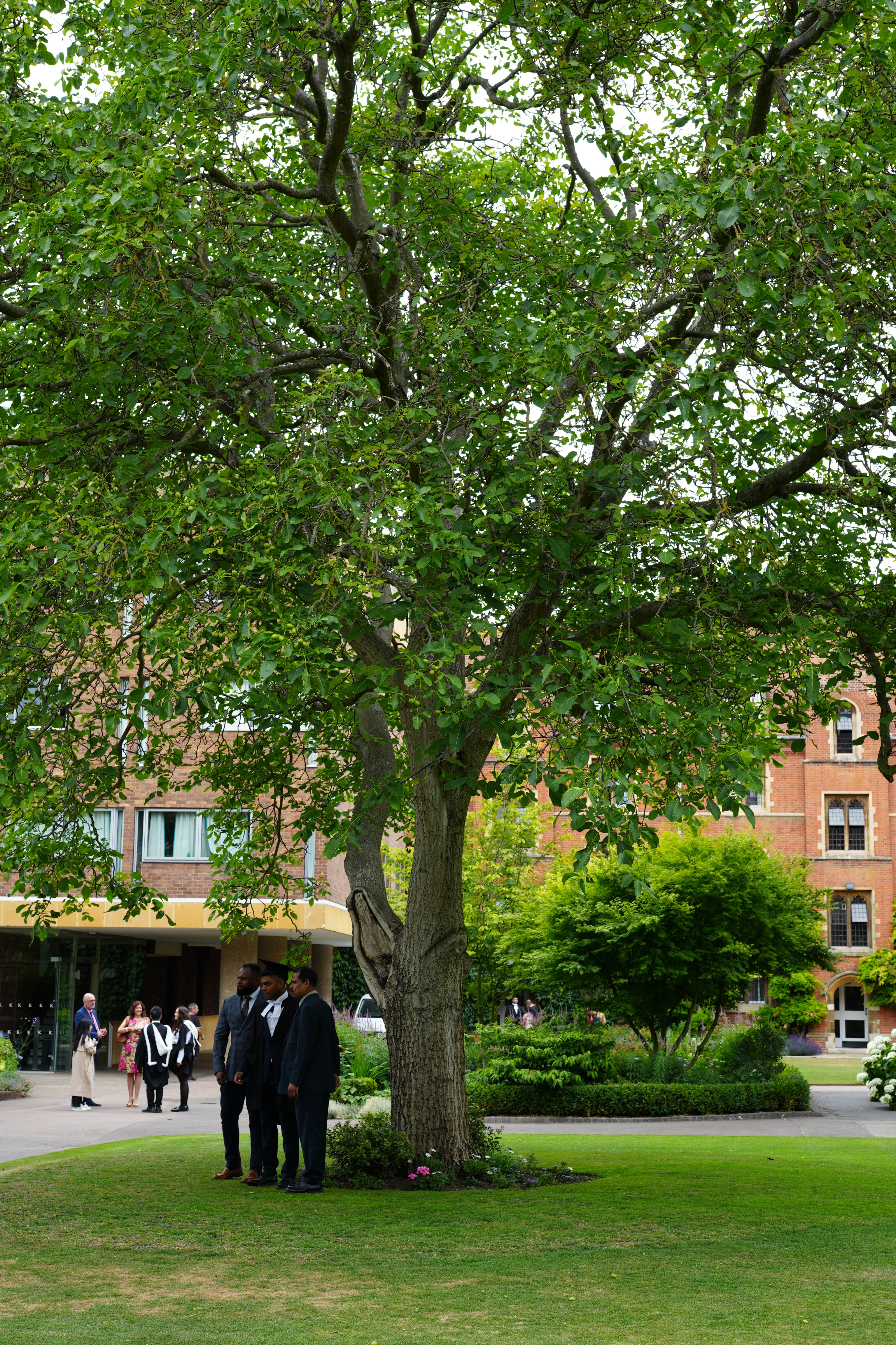 Group stood under tree