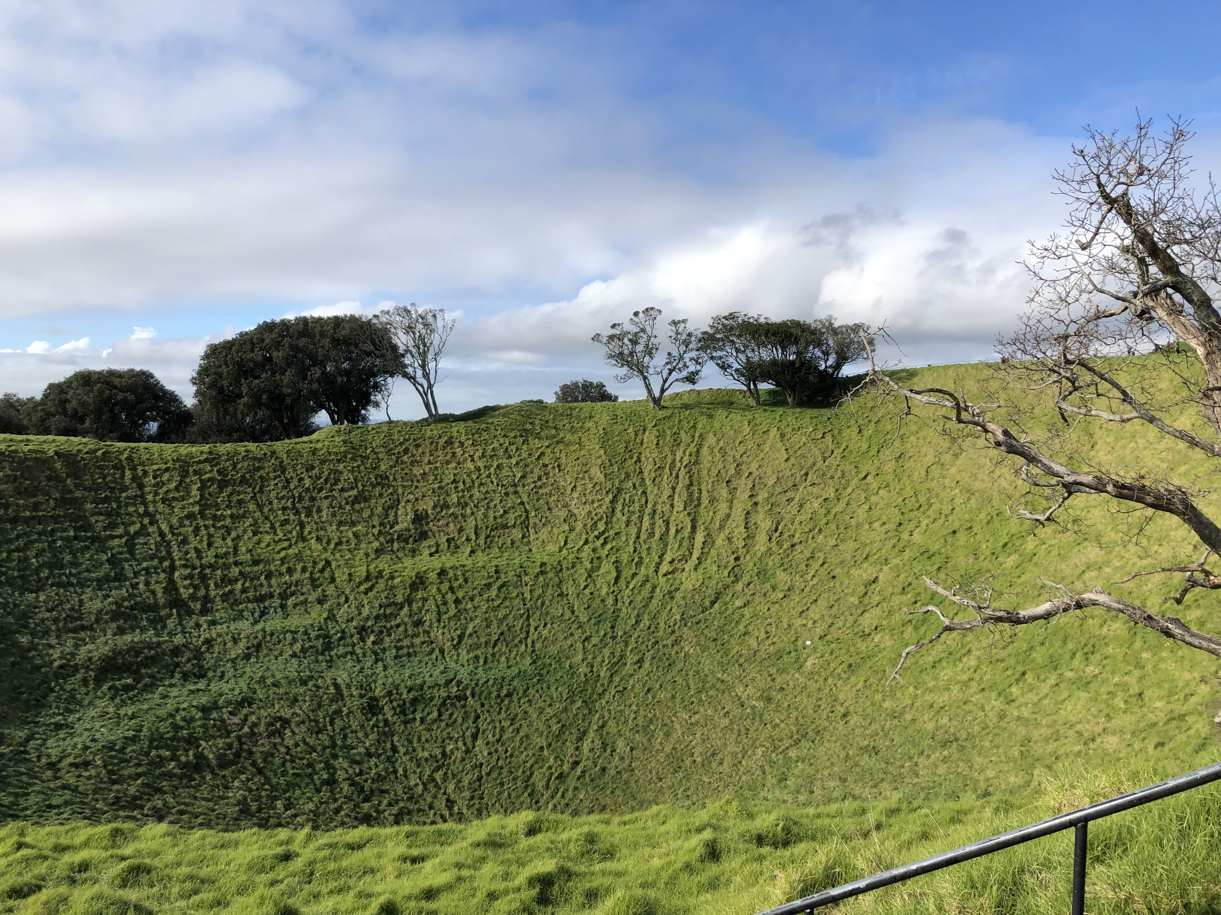 A field with some trees dotted about