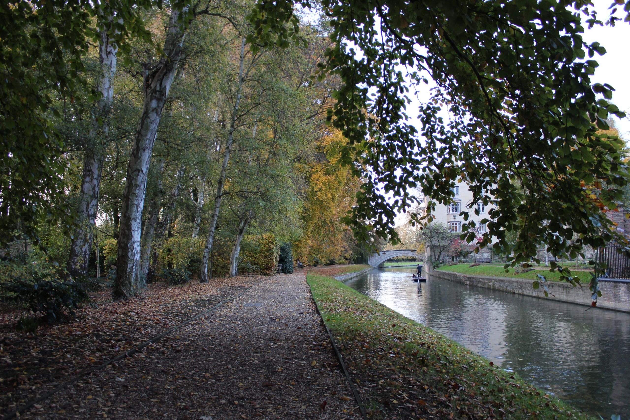 River Cam in autumn
